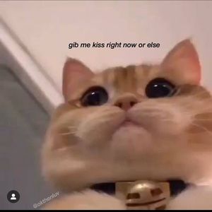 Meet your Posher, Jona